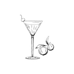 Illustration of alcohol cocktail cosmopolitan. Glass with summer cocktail and cranberry berrie white on background. Hand drawn sketch for menu, invitation, banner, website