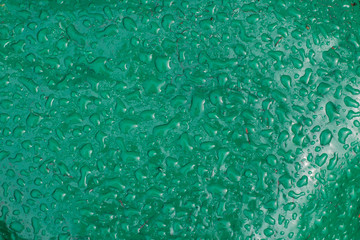 water drops on a green stone