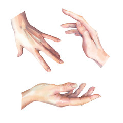 Watercolor hands gesture set. Isolated human palm clip art.