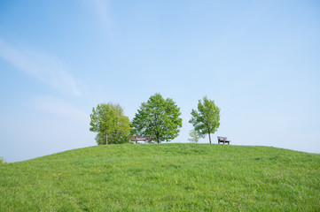 Obraz premium hill overgrown with green meadow with three trees and a park bench in summer