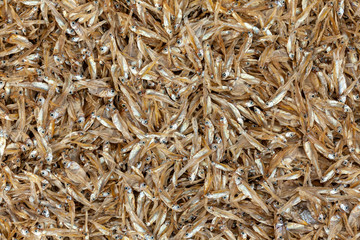 Dried Minnows For Sale