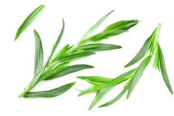 Tarragon leaves isolated on white background. Artemisia dracunculus. top view