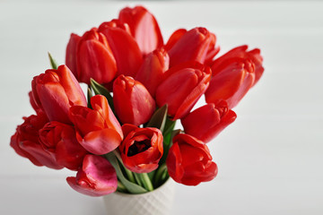 Red tulip flower isolated on white background.