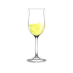 Glass of champagne. Realistic illustration of champagne. Glass of white wine isolated on white. Hand drawn wineglass with  alcohol beverage. Design element for bar and restaurant menu, recipes, flyers