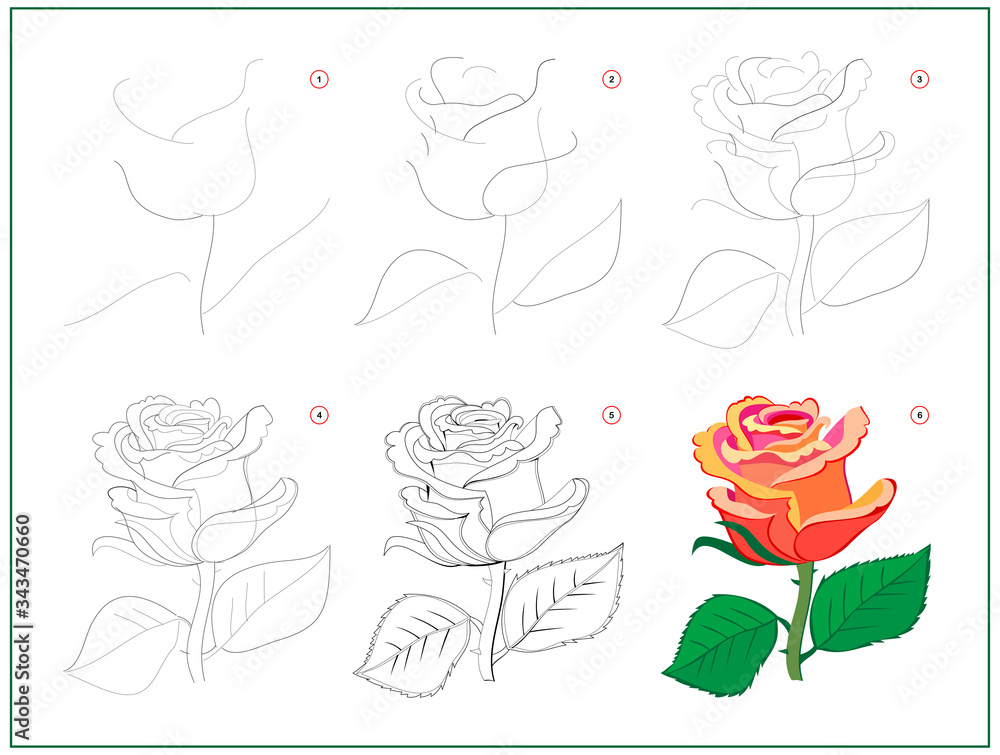 Wall mural page shows how to learn to draw step by step beautiful rose flower. developing children skills for d