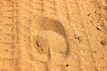 Zebra hoof print in sand, South Africa