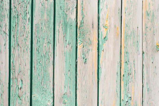 Old wooden plank background. Peeling, faded turquoise paint on the old boards. Copying space