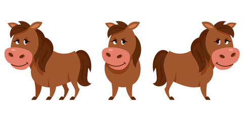 Horse in different poses. Farm animal in cartoon style.