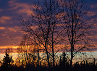 Obraz premium Sunrises and Sunsets Across the Country