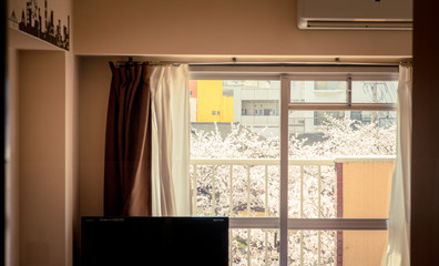 桜の見える部屋