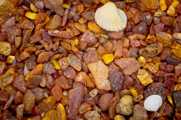 a lot of amber crumbs