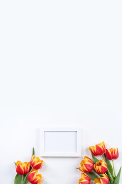 Mother's Day background, tulip flower bunch - Beautiful Red, yellow bouquet isolated on white table, top view, flat lay, mock up design concept.