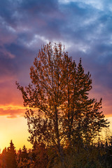 Sunrises and Sunsets Across the Country