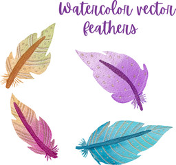 Vector colorful watercolor feathers