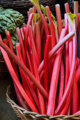 Local produce for sale, rhubarb