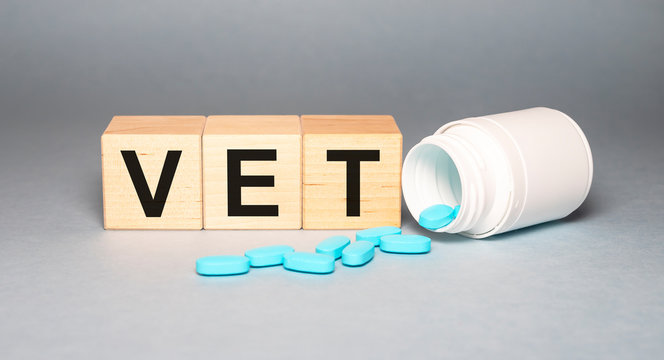 Vet word on wooden cubes and blue pills scattered on their jars on a gray background