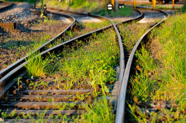 Schienen Unkraut Eisenbahn Gleise Weiche Strecke Infrastruktur Gleisanschluss Fabrik Werk Rangieren Hagen Hohenlimburg Ruhr-Sieg-Strecke Sauerland Abend Stimmung Symbol Vegetation überwuchert Verfall 