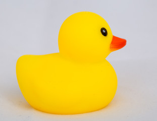 Rubber duck