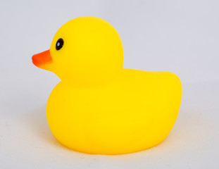 Rubber duck