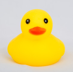 Rubber Duck