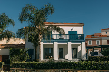 green palm trees near modern houses against blue sky