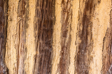 timbered wooden wall. close up detail image of house made of wood logs