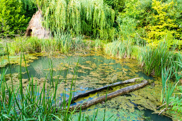 A hut in forest, old vintage hut as a first people house