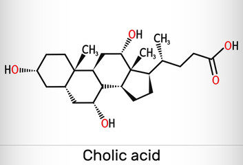 Cholic acid, C24H40O5 molecule. It is major primary bile acid produced in the liver. Nutritional supplement E 1000.  Structural chemical formula.