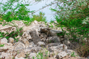 Ruins, the remains of destroyed houses.