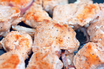 close up image of tasty sliced chicken