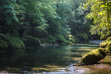 sonne in einem wald mit einem bach