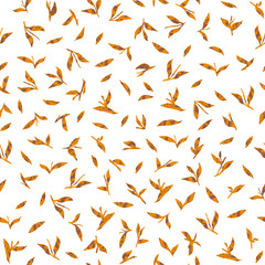 Seamless pattern with small leaves on white background