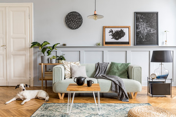 Stylish interior design of living room with modern mint sofa, wooden console, coffee table, lamp, plant, mock up poster frame, pillows, plaid, decoration and beautiful dog lying on the floor.