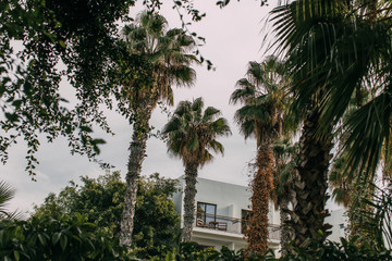 Green palm trees near modern house against cloudy sky