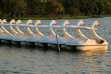 Row of Empty Swan Pedal Boats Moored on the Lake in a Park