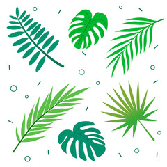set of wild tropical leaves. Vector illustration of tropival flowers