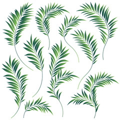 Beautiful tropical plant background illustration material,
