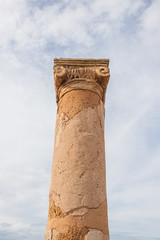  low angle view of ancient House of Theseus column