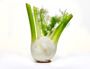Fresh organic fennel bulb isolated on a white background