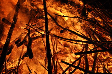 Bonfire burning firewood smoldering fire