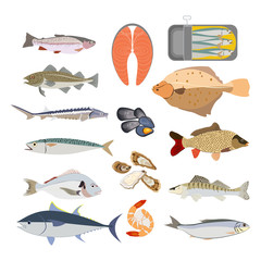 Fish types nature healthy food vector illustration