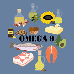 Omega 9 healthy nutrient rich food vector illustration
