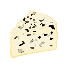 Roquefort cheese fresh organic dairy product vector illustration