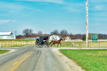 Amish Buggy at Intersection