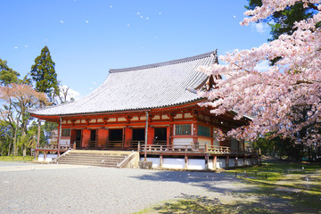 Naklejka premium Kondo (Golden Hall) at Daigo-ji Temple, Kyoto City, Kyoto Pref., Japan