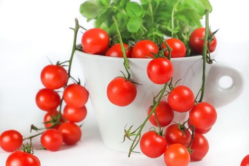 Typical ingredients of Italian cuisine: spaghetti, cherry tomatoes and basil