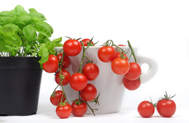 
typical ingredients of Italian cuisine: basil and cherry tomatoes in a minimalist composition on a white background