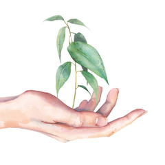 Fototapeta na wymiar World environment day art. Ecology watercolor illustration. Hand with green sprout isolated on white background.