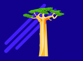 African Adansonia baobab tree flat vector icon illustration
