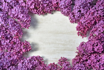 bunch of purple lilac flowers with white copy space in the middle